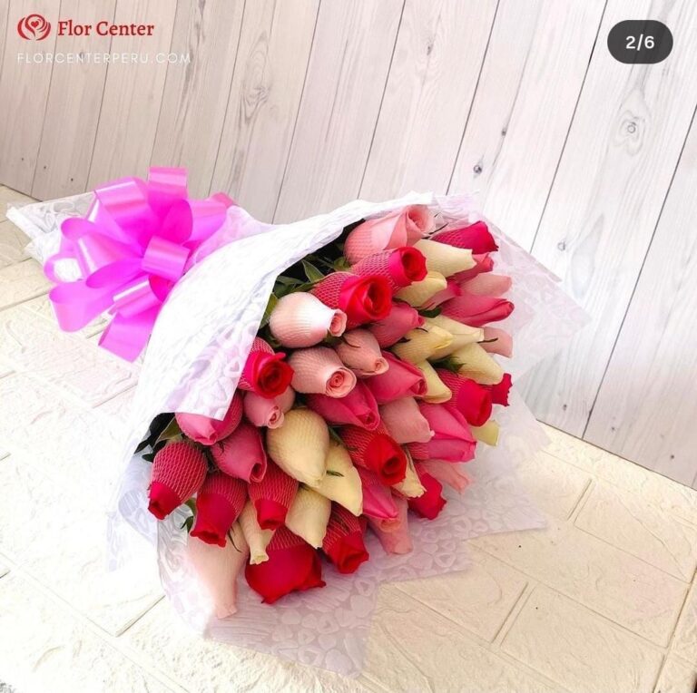 Buchon de 50 rosas mixtas