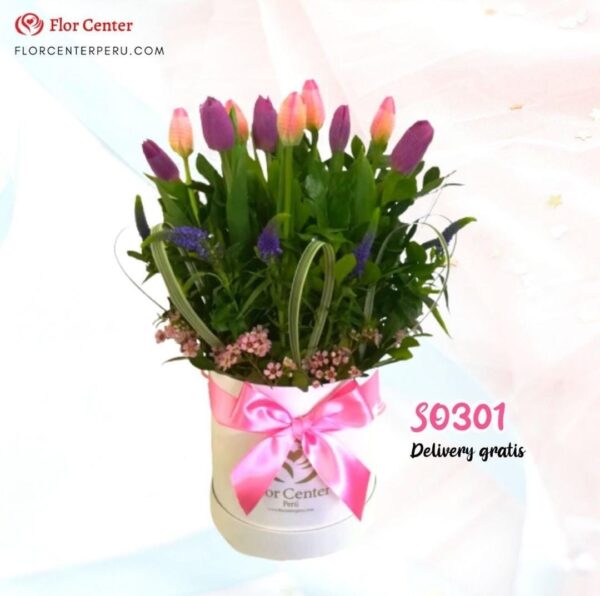 Box de Tulipanes